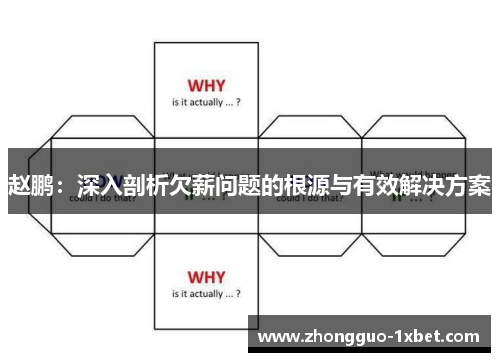 赵鹏:深入剖析欠薪问题的根源与有效解决方案 赵鹏:深入剖析欠薪问题的根源与有效解决方案